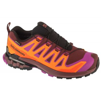 Salomon XA Pro 3D v9 GTX W L47961900 Running Shoes