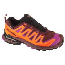 Salomon XA Pro 3D v9 GTX W L47961900 Running Shoes