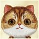 8. Nimmy Big Eyed Pet 2.0 Cat Case for iPhone 16 - Green