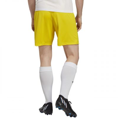 8. adidas Entrada 22 M IC7404 shorts
