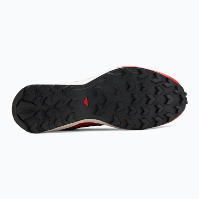 3. Salomon Speedcross Peak Men's Running Shoes Low Top Black (L47790100)