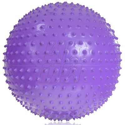 5. Gym ball with massage PROFIT 55cm purple DK 2104