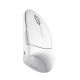 5. TRUST Verto Wireless Vertical Ergonomic Mouse, White
