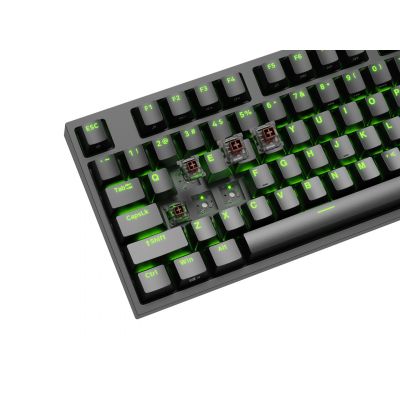 12. GENESIS THOR 404 TKL US GAMING KEYBOARD RGB BACKLIGHT MECHANICAL BLACK KAILH BOX BROWN