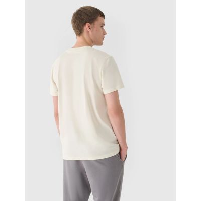 2. Men's regular plain T-shirt 4F 4FRAW24TTSHM2602-83S