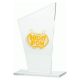 9. Engraved glass trophy + paint filling