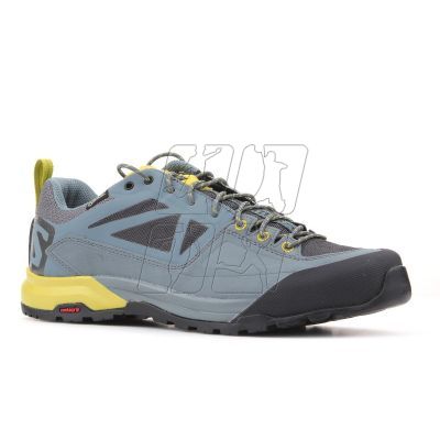 Salomon X Alp SPRY GTX M 401621 shoes