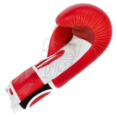 18. Leather boxing gloves MASTERS RBT-TRW 01210-02