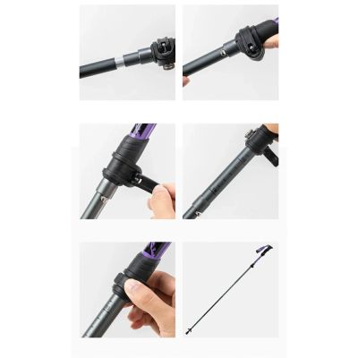 8. Qunature Nordic Walking Trekking Pole Aluminum 110 - 130 cm 1 pc. - Purple