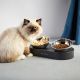 4. PETKIT PK-F4 Universal Feeder and Waterer for Animals