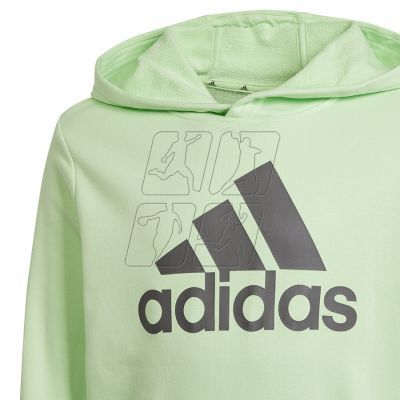 6. Adidas Big Logo Hoodie Jr IS2591 sweatshirt