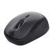 TRUST TM-201 Wireless Mouse