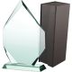 5. Glass trophy with case