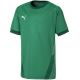 5. Puma teamGOAL 23 Jersey Jr 704160 05