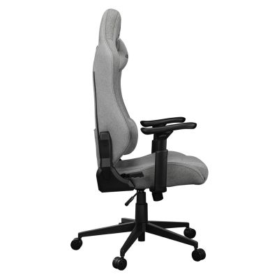 5. COUGAR CGR-EPF-ROA Universal Gaming Chair Grey