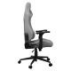5. COUGAR CGR-EPF-ROA Universal Gaming Chair Grey