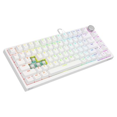 13. SAVIO MECHANICAL KEYBOARD ASTRAL WHITE OUTEMU WHITE JADE RGB