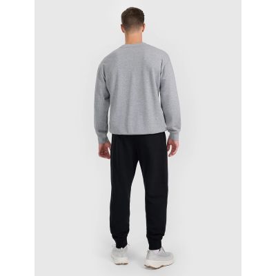 2. Men's jogger sweatpants 4F 4FRMM00TTROM1624-20S