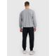 2. Men's jogger sweatpants 4F 4FRMM00TTROM1624-20S