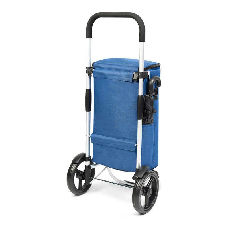20. Allround Cruiser 650065 Shopping Cart