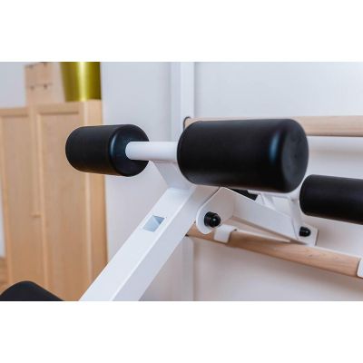 23. WOODEN AND METAL GYMNASTIC WALL BAR WITH BAR, BENCH AND ACCESSORIES BENCHK 233W