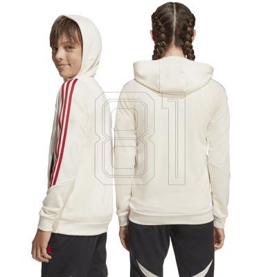 2. Adidas Liverpool FC Hoody Jr JV9019 sweatshirt