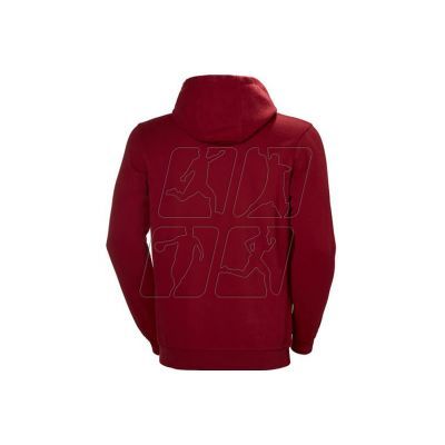 2. Helly Hansen Logo Hoodie M 33977-215