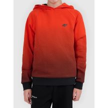 Boy's hoodie with all-over print 4F 4FJWAW26TSWSM2687-94A