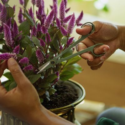 4. FISKARS Plant Care potted plant care tool set (1075317) (3 pcs.)