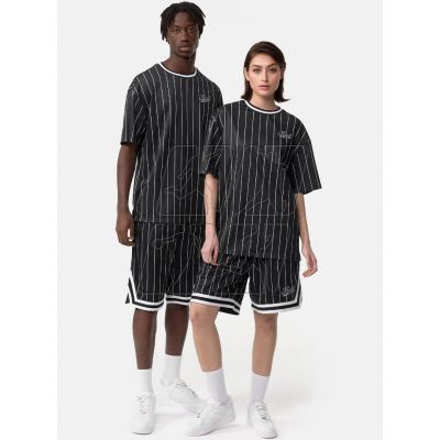 3. Karl Kani Chest Varsity Pinstripe Mesh Tee Light M 6038524