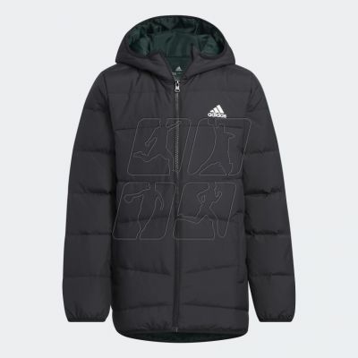 Jacket adidas Frosty Jacket Jr. HM5205