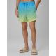 2. Men's boardshorts 4F 4FWSS26UBDSM168-33S