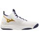 3. Mizuno Wave Momentum 3 MID M V1GA231743 volleyball shoes