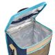 15. Meteor Frigid Thermal Bag 12.5L Blue/Gray