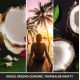 3. Ultimate BLACK COCONUT YANKEE fragrance pendant