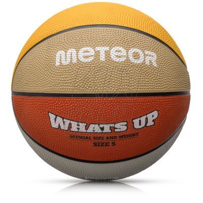 4. Meteor What&#39;s up 5 basketball ball 16797 size 5