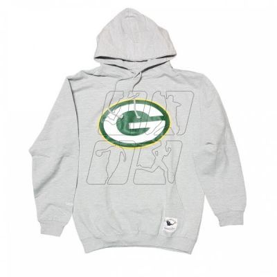 Mitchell &amp; Ness Team Logo Hoody Green Bay Pacers M HDSSINTL1052-GBPGREY