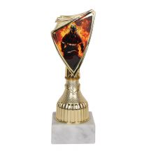 Tryumf 9297/FIR Fire Brigade Trophy