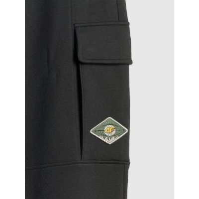 9. Men's cargo sweatpants 4F 4FRSS26TTROM1916-20S