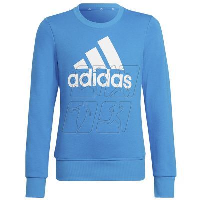 6. Sweatshirt adidas G Bl Swt Jr HG1098