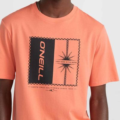 4. O'Neill Mix & Match Palm T-Shirt M 92800613905