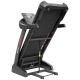 43. TECH RUN W4.0 ENERO FIT ELECTRIC TREADMILL