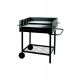 MASTER GRILL SIMPLE FOR PROFESSIONALS MG648