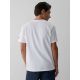 2. Men's regular printed T-shirt 4F 4FRAW26TTSHM4470-10S