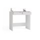 4. MARINAZ DESK 2S WHITE