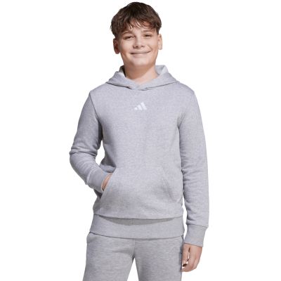 12. adidas Essentials Hoodie for kids gray JV9995