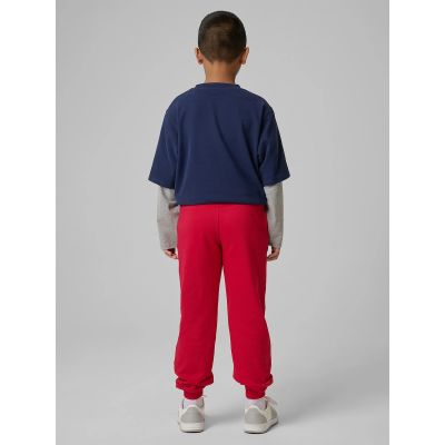 2. Boys' jogger sweatpants 4F 4FJRSS26TTROM1824-62S