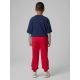 2. Boys' jogger sweatpants 4F 4FJRSS26TTROM1824-62S