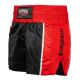 2. K-1 MASTERS "COMBAT" Shorts (WAKO APPROVED)