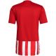 11. Tee adidas Striped 21 Jersey M GN7624
